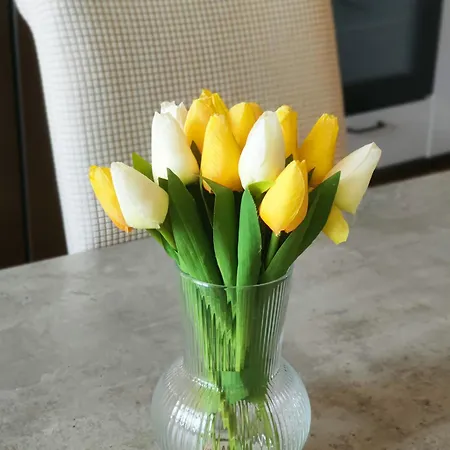 Double King Size Sunny In Castle Area * Прага